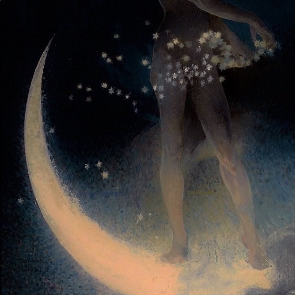 Meet your Posher, Jude!